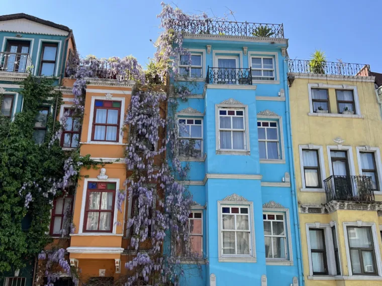 Blue and orange houses on a Balat street with wisteria over a balcony