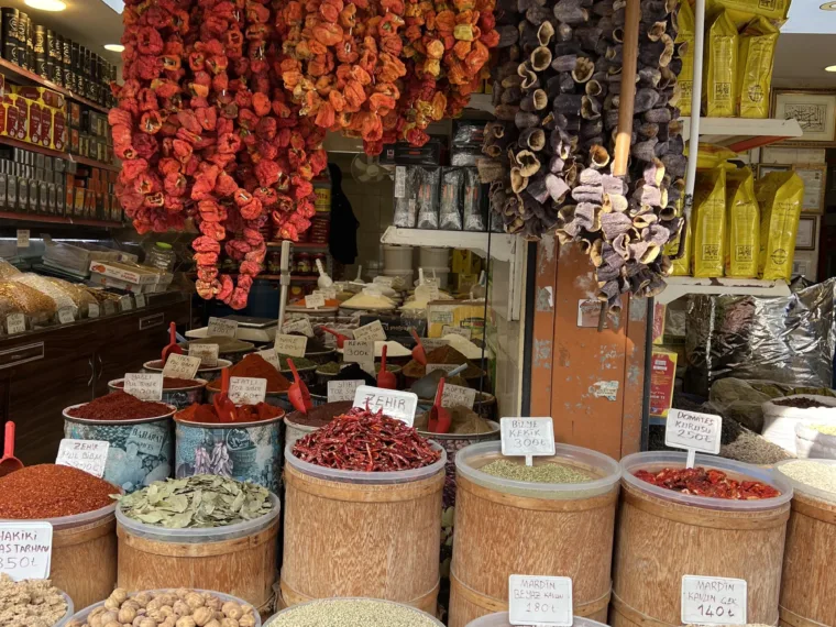 Dried peppers and aubergines hanging above sacks of spices at an Istanbul market