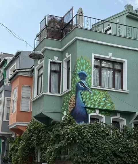 A green Balat house with a large painted peacock across its front