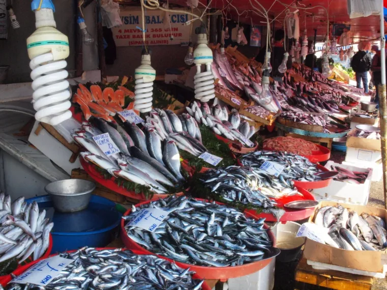 Fresh fish laid out on ice at an Istanbul market stall