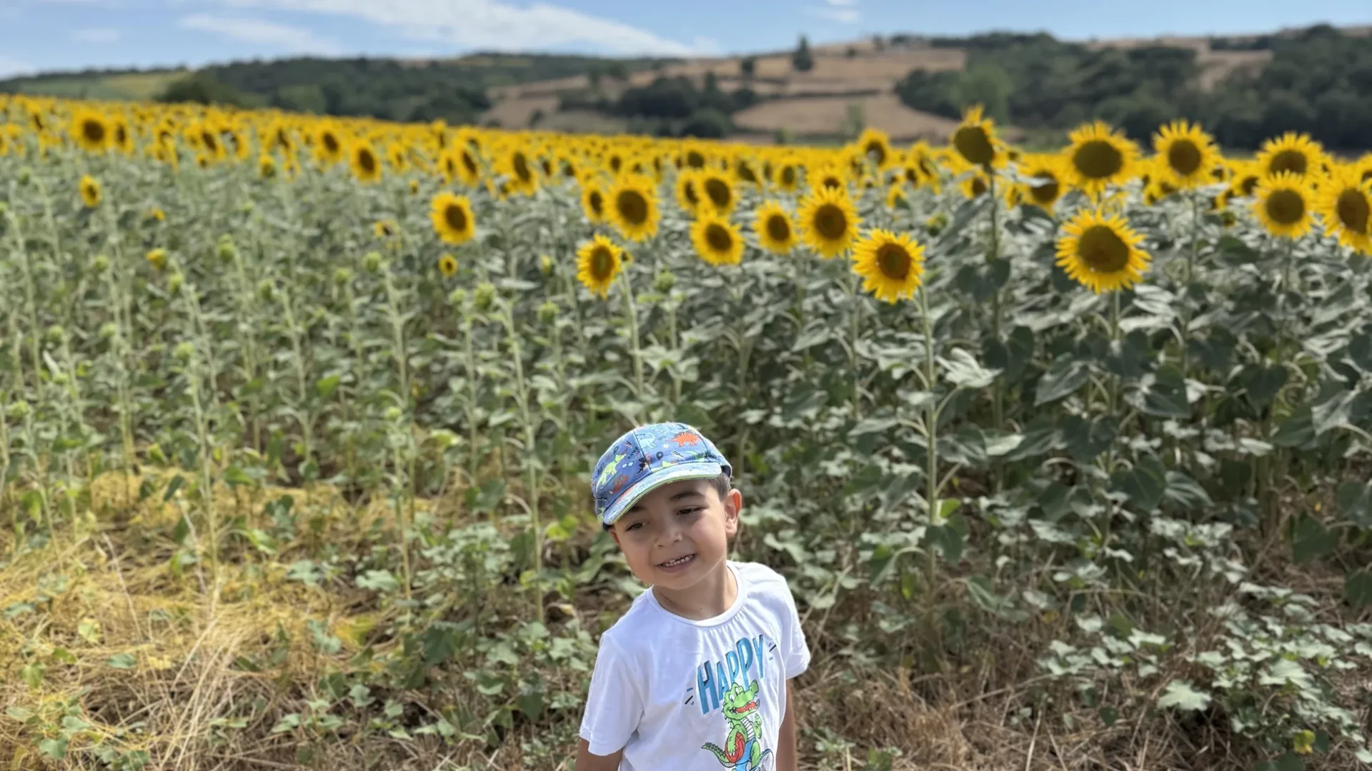 A child standing at the edge of a sunflower field in Turkey
